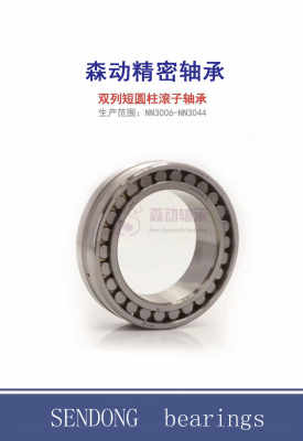 通江縣NSK與NTN軸承等級(jí)查詢(xún)指南 以E2.6309-2Z-C3為例