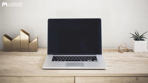 模型產(chǎn)品市場規(guī)模計算與銷售策略分析